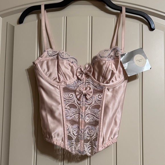 Dior Other - Rare Authentic Vintage Christian Dior Elegant Pink Lace Bustier